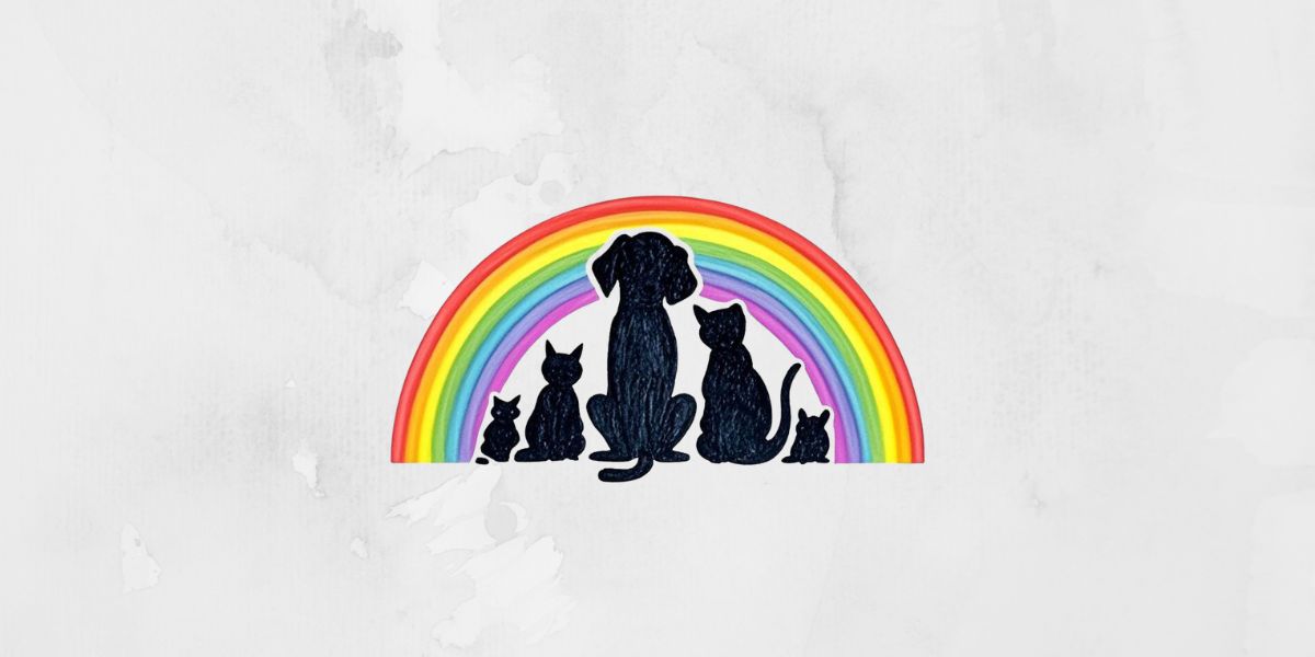 Navigating Pet Cremation Services Near Me in Singapore