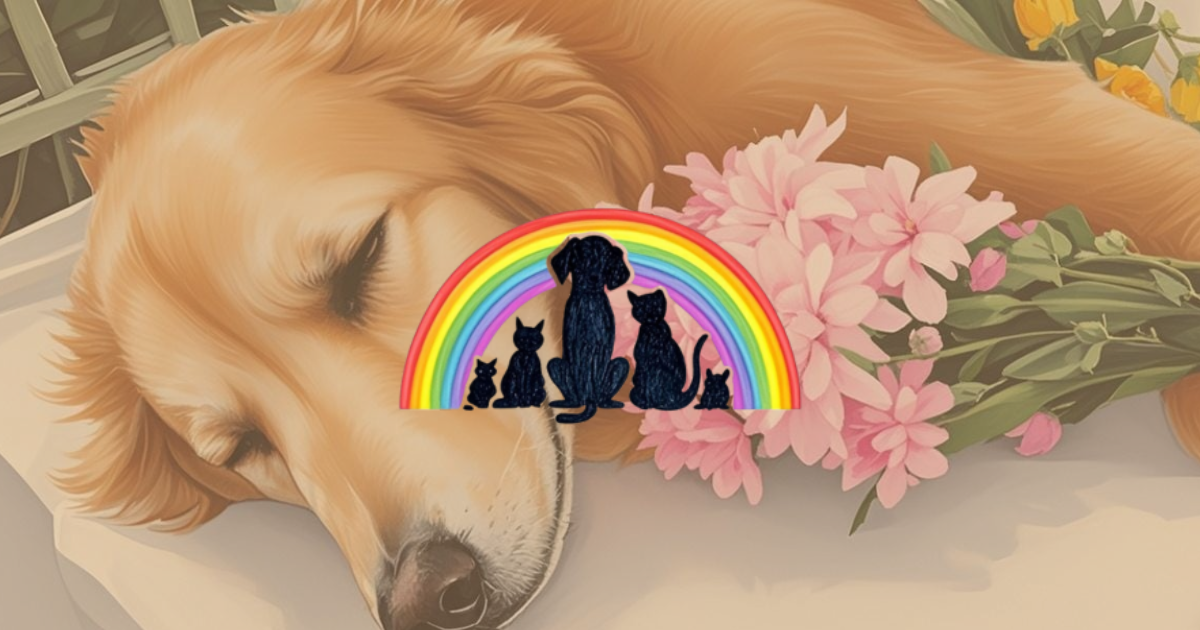 Pet Cremation Services in the East – Why Location Matters When Saying Goodbye